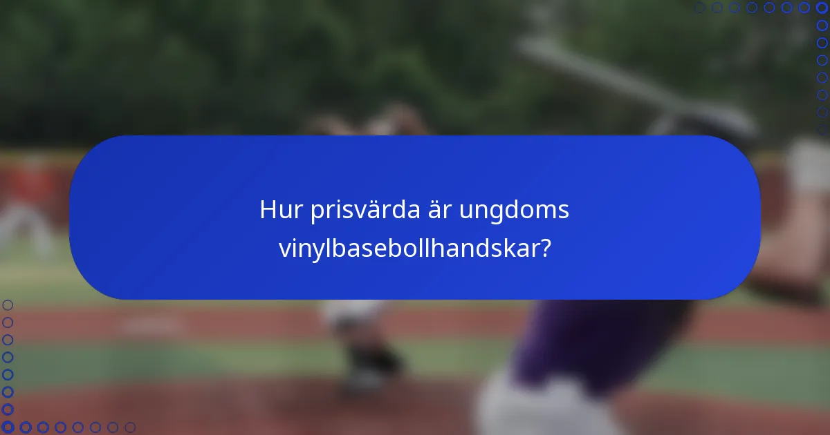 Hur prisvärda är ungdoms vinylbasebollhandskar?