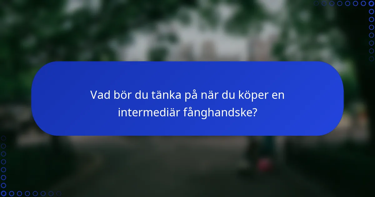 Vad bör du tänka på när du köper en intermediär fånghandske?