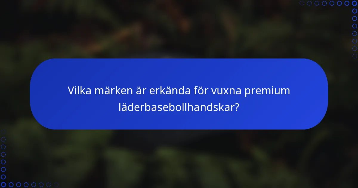 Vilka märken är erkända för vuxna premium läderbasebollhandskar?