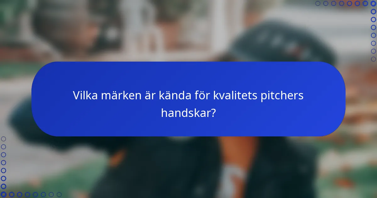 Vilka märken är kända för kvalitets pitchers handskar?