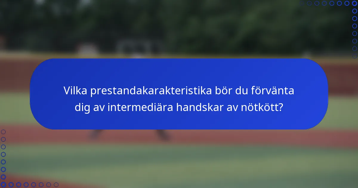Vilka prestandakarakteristika bör du förvänta dig av intermediära handskar av nötkött?