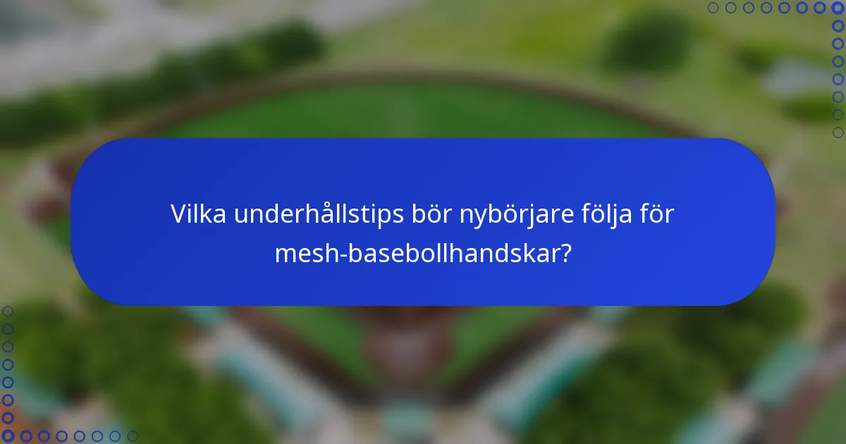 Vilka underhållstips bör nybörjare följa för mesh-basebollhandskar?
