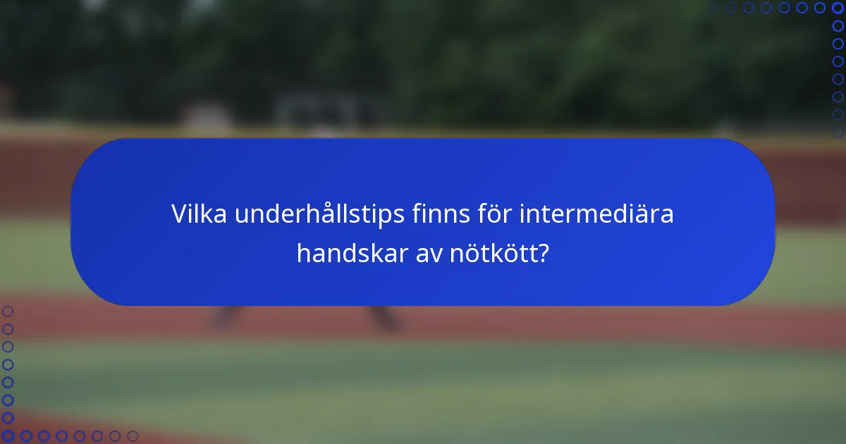 Vilka underhållstips finns för intermediära handskar av nötkött?