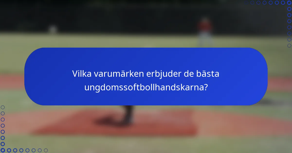 Vilka varumärken erbjuder de bästa ungdomssoftbollhandskarna?