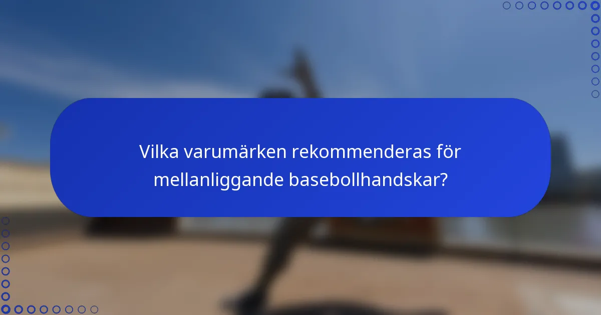 Vilka varumärken rekommenderas för mellanliggande basebollhandskar?